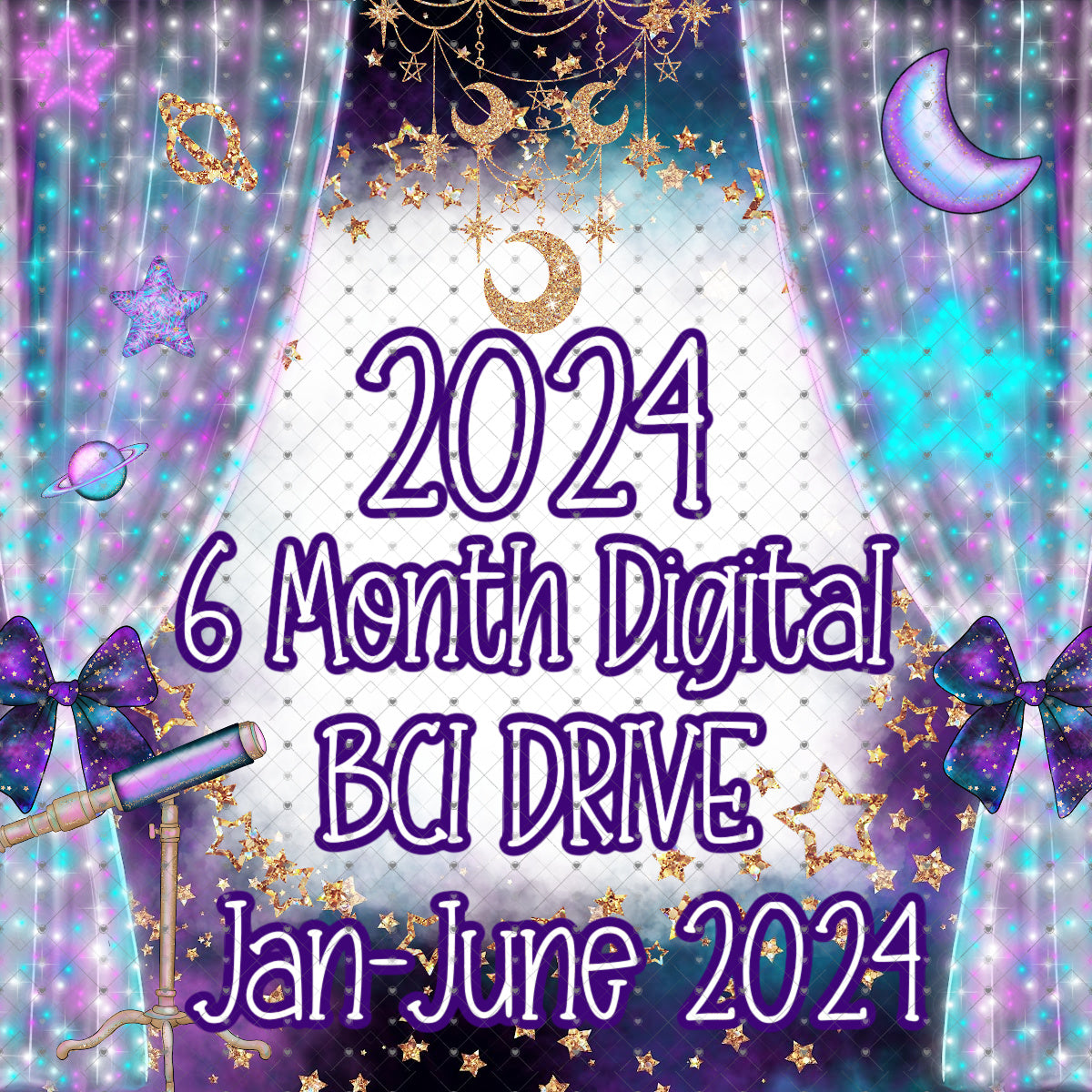 6 Month Digital BCI Drive Jan-June 2024