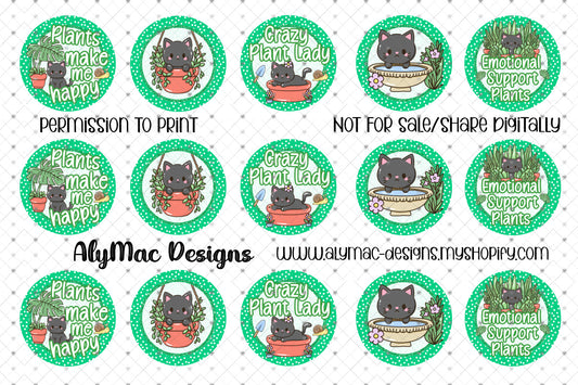 Plant Cats